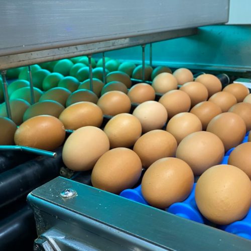 Ultraviyole Lamba ile gıda dezenfeksiyonu Ultraviyole Lamba ile gıda dezenfeksiyonu